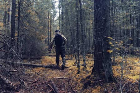 Купить диплом Егеря, лесника в Новошахтинске